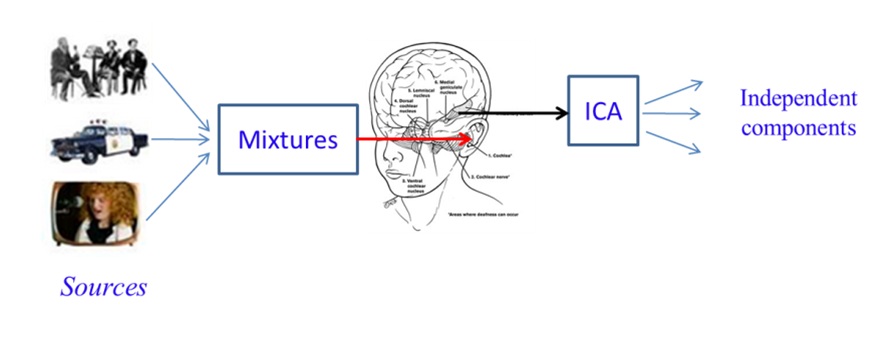 Reconstructing audio stimuli from human auditory corte x